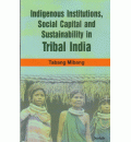 Indigenous Institutions, Social Capital and Sustainability in Tribal India
